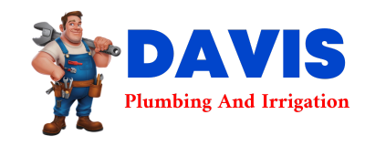 Trusted plumber in MERTZON